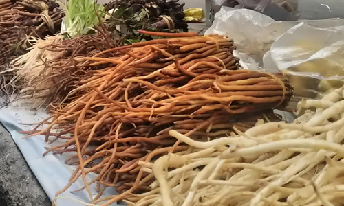 藥香類(lèi)香精