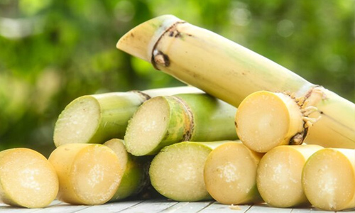 甘蔗類(lèi)香精
